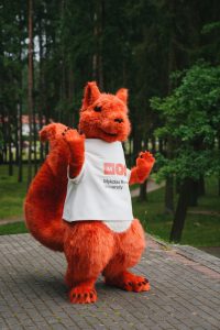 Mykolo Romerio universitetas